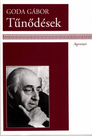 Tűnődések