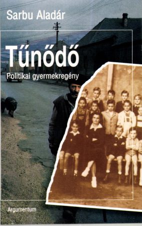 Tűnődő